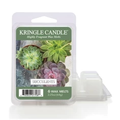 Succulents - Wax Melts 64 g.