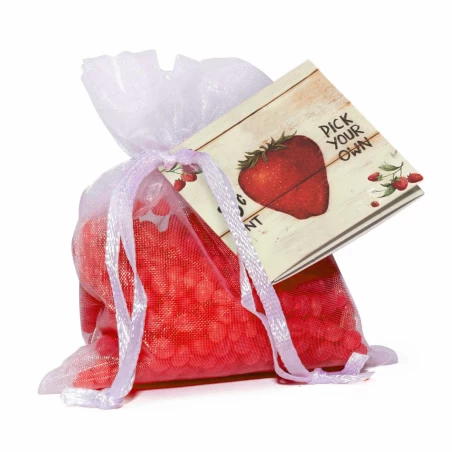Strawberries - Mini Resinas Perfumadas Strawberries - Mini Resinas Perfumadas