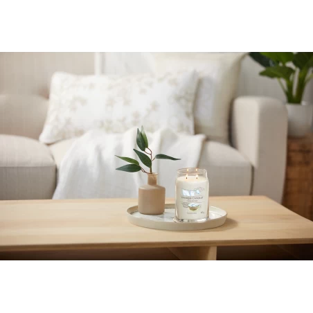 Clean Cotton - Bote Grande