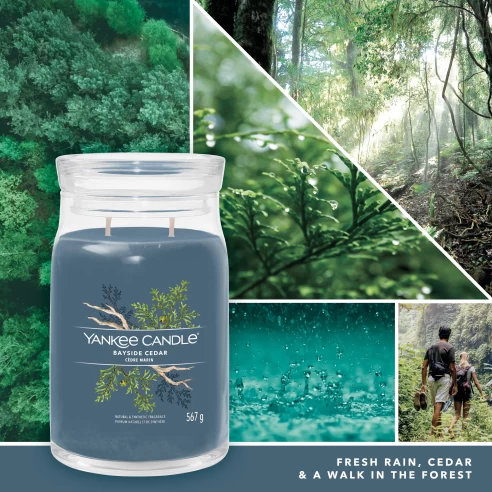 Bayside Cedar - Bote Grande