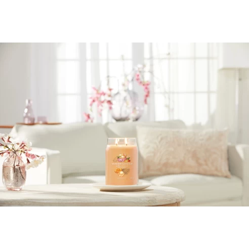 Mango Ice Cream - Bote Grande