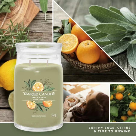 Sage & Citrus - Bote Grande