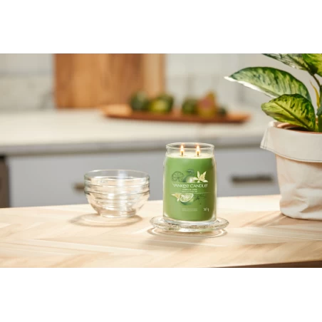 Vanilla Lime - Bote Grande