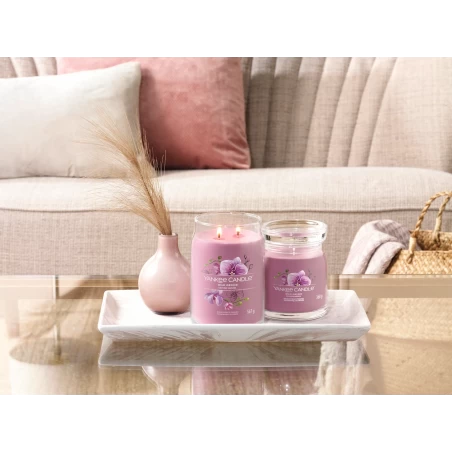 Wild Orchid - Bote Grande