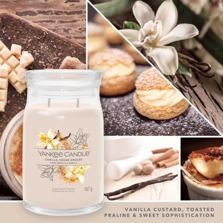 Vanilla Crème Brûlée - Bote Grande