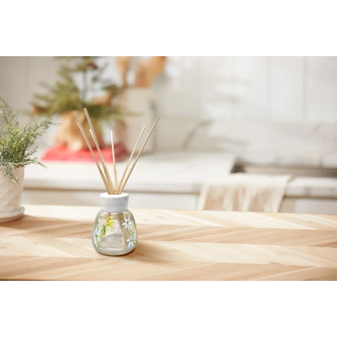 Midnight Jasmine - Mikado 100 ml.