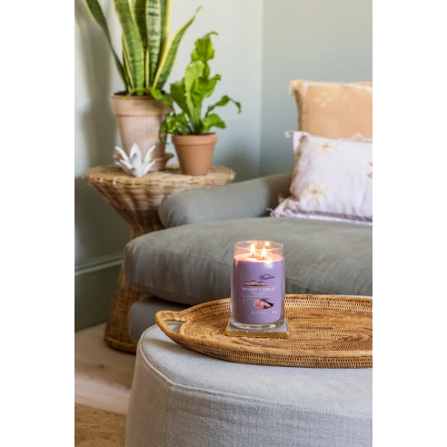 Stargazing - Bote Grande 567 g.