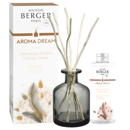 Aroma Dream Délicatesse Ambrée - Mikado 180 ml.