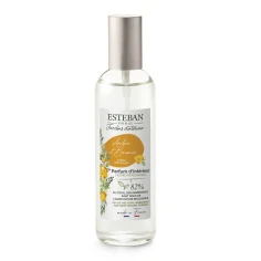 Ambre & Baumes - Ambientador en Spray 100 ml.