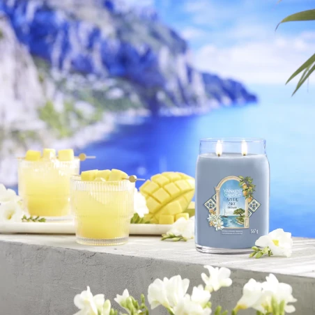 Azure Sky - Bote Grande 567 g.