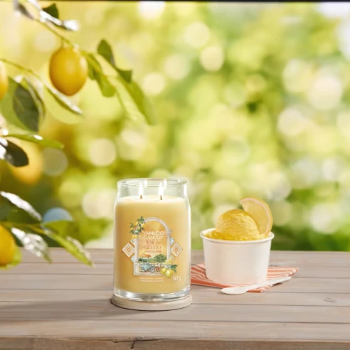 Lemon Gelato - Bote Grande 567 g.