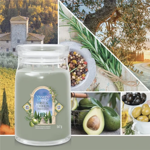 Olive & Cypress - Bote Grande 567 g.