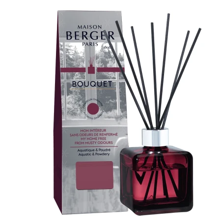 Eliminador de olores de Humedad - Mikado 100 ml.