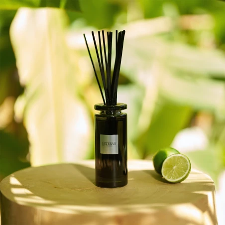 Eau d'Amazonie - Mikado 100 ml.