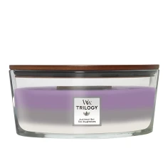 Amethyst Sky - Ellipse Trilogy 453 g.