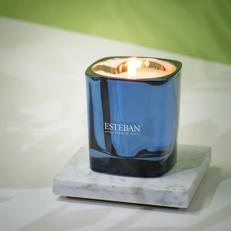 Bois de Cashmere & Ambre Gris - Vela Perfumada 180 g.