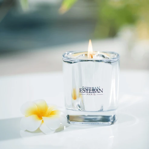 Santal & Fleur de coco - Vela Perfumada 180 g.