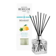 Zeste de Verveine - Mikado 100 ml.