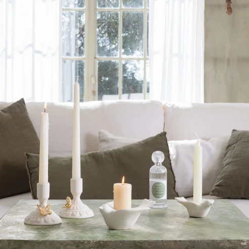 Délicate Verveine - Ambientador en Spray 100 ml.