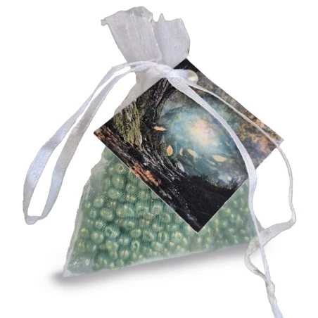 Enchanted Oak - Mini Resinas Perfumadas