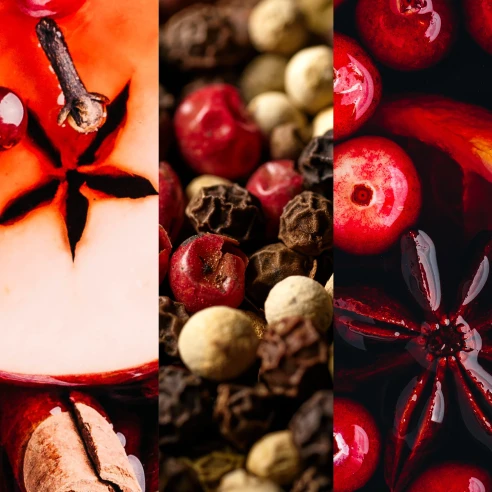 Santa on Skis - Bote Mediano 368 g.