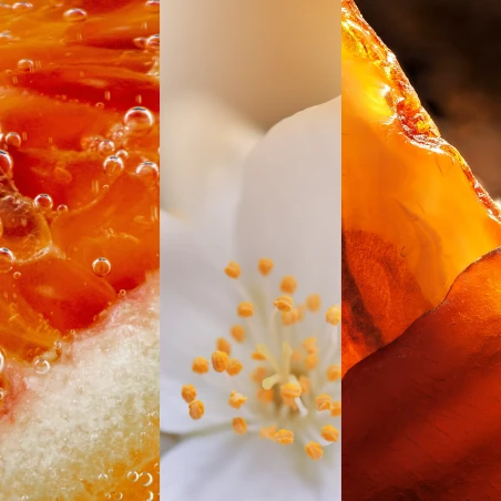 Glistening Leaves - Vaso Pequeño 122 g.