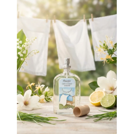 Cotonet - Ambientador en Spray 100 ml.
