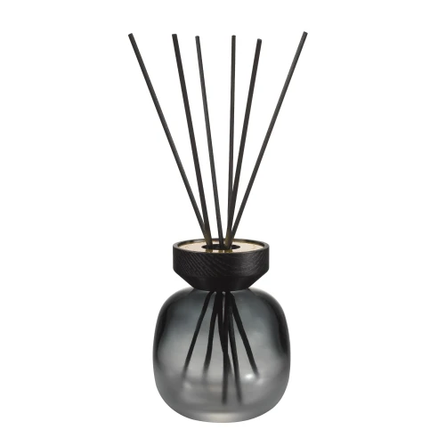 Wood Noir Givré - Mikado 180 ml.