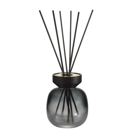 Wood Noir Givré - Mikado 180 ml.