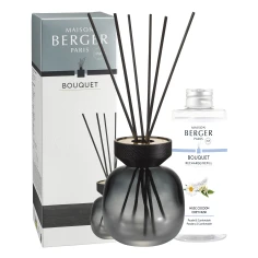 Wood Noir Givré - Mikado 180 ml.