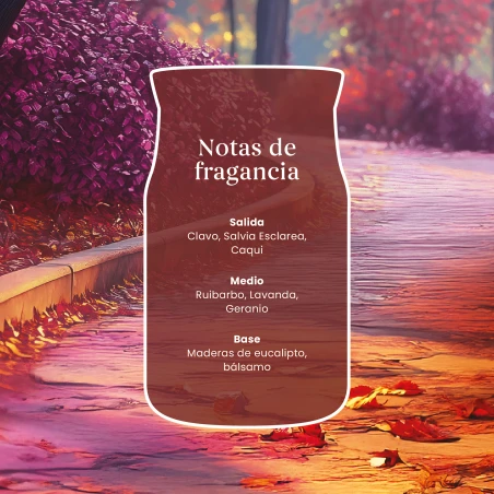 Vela Yankee Candle Autumn Daydream - Bote Grande 567 g. - detalle del producto