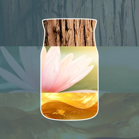 Vela Yankee Candle Bayside Cedar - ambientación