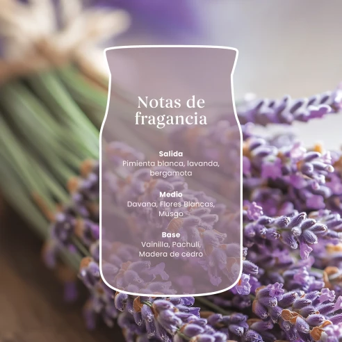Vela Yankee Candle Dried Lavender & Oak - detalle del producto