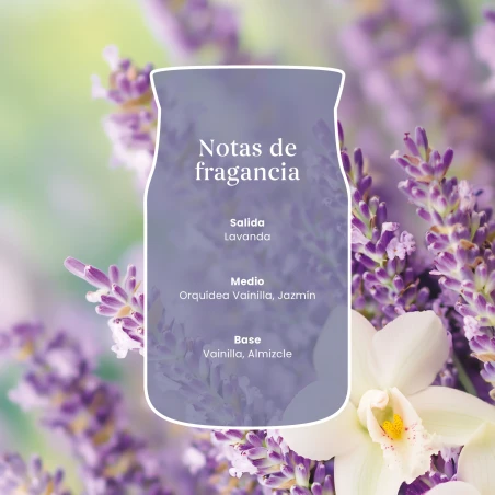 Vela Yankee Candle Lavender Vanilla - detalle del producto