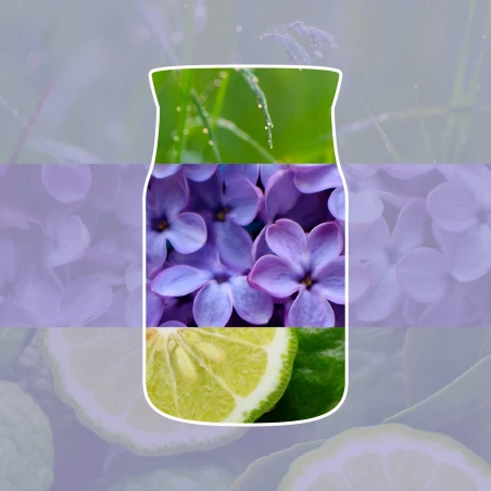 Vela Yankee Candle Lilac Blossom - ambientación