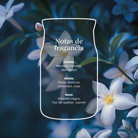 Vela Yankee Candle Midnight Jasmine - detalle del producto
