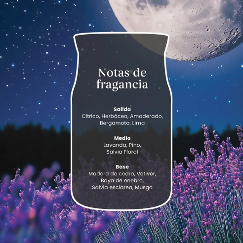 Vela Yankee Candle Midsummer's Night - detalle del producto
