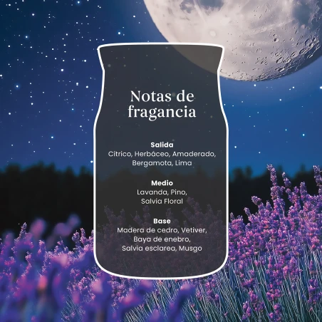 Vela Yankee Candle Midsummer's Night - detalle del producto