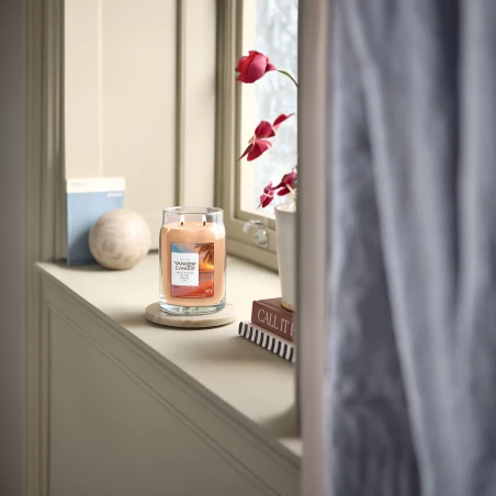 Vela Yankee Candle Pink Sands Glow - ingredientes de la fragancia
