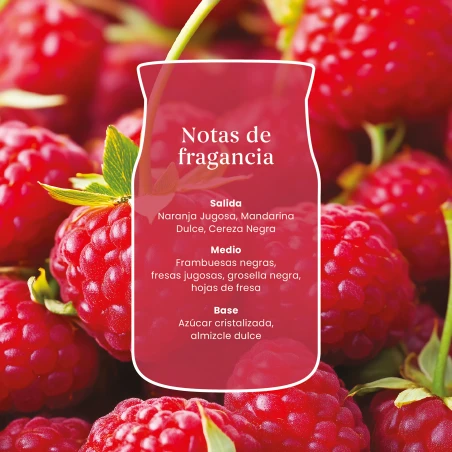 Vela Yankee Candle Red Raspberry - detalle del producto