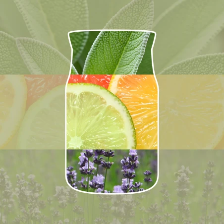 Vela Yankee Candle Sage Citrus - ambientación