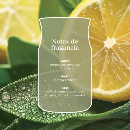 Vela Yankee Candle Sage Citrus - detalle del producto
