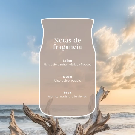 Vela Yankee Candle Seaside Woods - detalle del producto