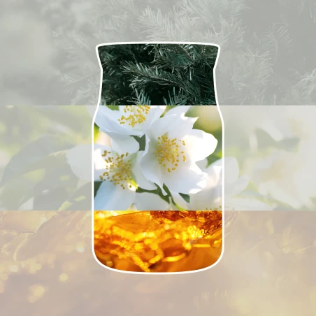 Vela Yankee Candle Silver Birch - ambientación