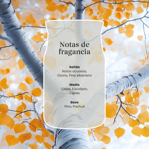 Vela Yankee Candle Silver Birch - detalle del producto