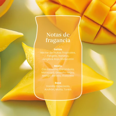 Vela Yankee Candle Starfruit Sunshine - detalle del producto