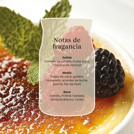 Vela Yankee Candle Vanilla Creme Brulee - detalle del producto