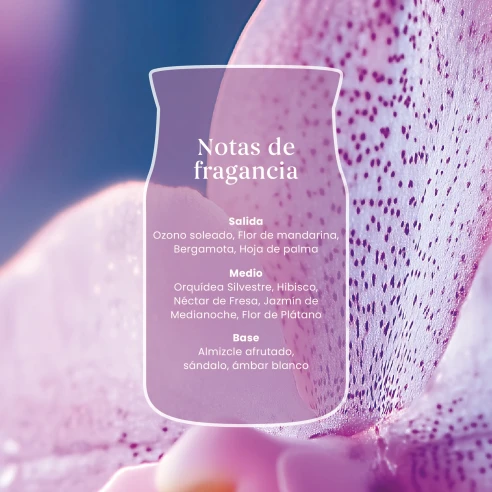 Vela Yankee Candle Wild Orchid - detalle del producto