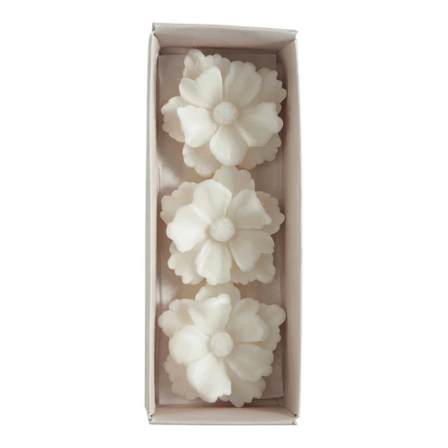 Interior del estuche de 3 ceras con forma de flor Douceur d'Ambre de Mathilde M.