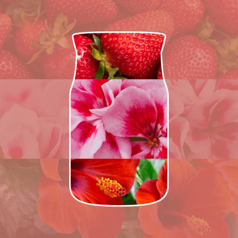 Fresa, geranio e hibisco, ingredientes del aroma Cliffside Sunrise de Yankee Candle
